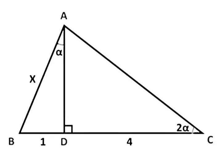 Mathematics Question and Solution